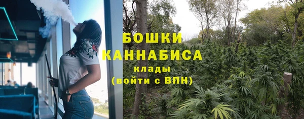 крисы Новозыбков